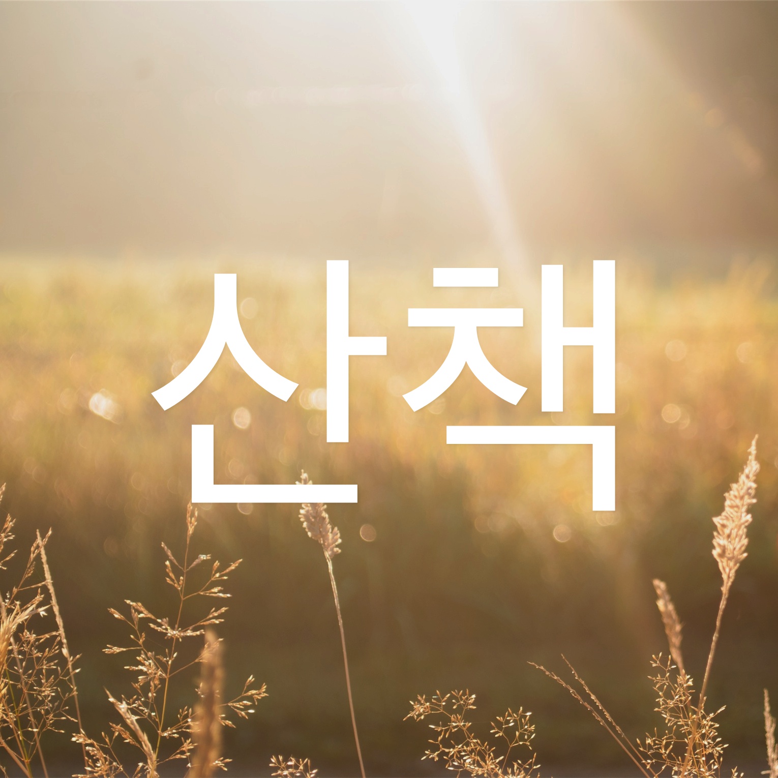 산책 podcast artwork